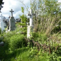 Фарбота Паранька