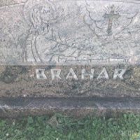 Albert Brahar