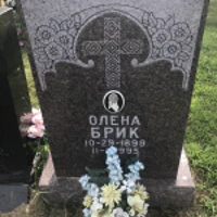 Олена Брик