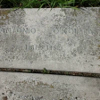 Antonio O'Kolita