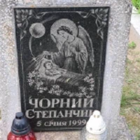 Степанчик Чорний
