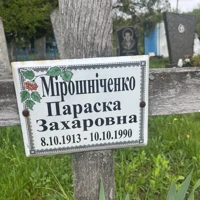 Параска Мірошніченко