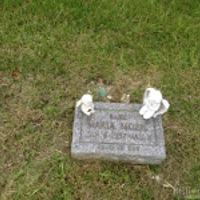 Marie Mozn