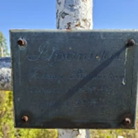 Галина Драпика