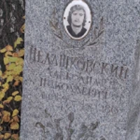 Александр Недашковский