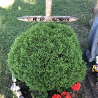 Peter Kuchirka