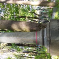 Jozef Skibinski