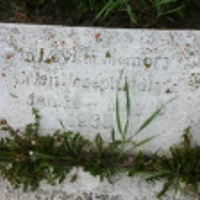 Brian Holyk