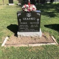 Teodor Sharko