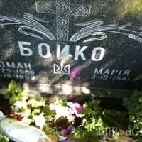 Роман Бойко