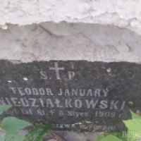Teodor Niedziałkowski