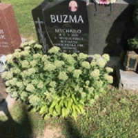 Mychailo Buzma