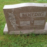 Harry Benedig