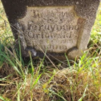 Paulina Orłowska