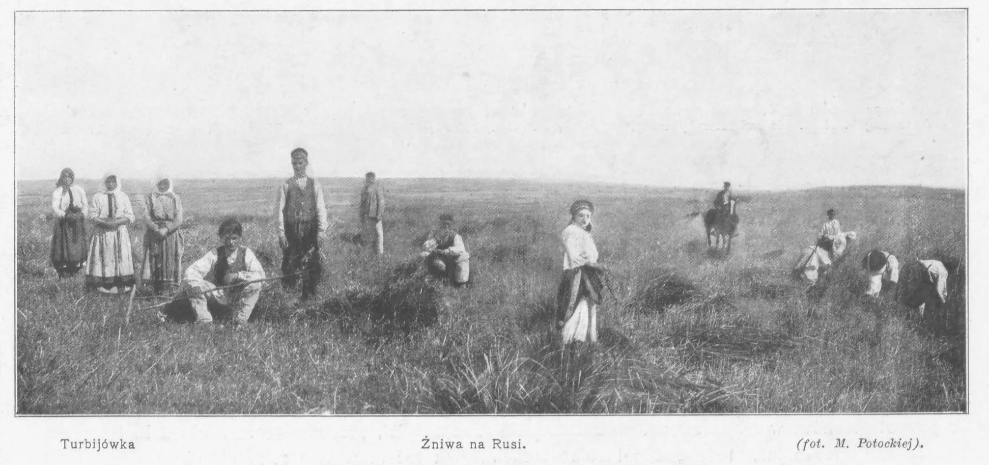 Турбіївка. Жнива на Русі. (фото М. Потоцької). 1912. Трубіївка