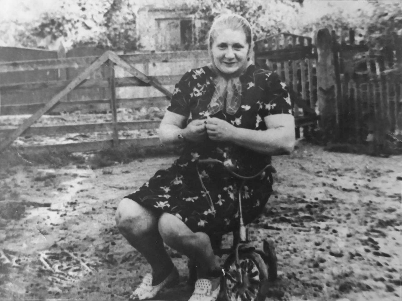 На старому подвір'ї хати, с.Криничне (м.Деражня)