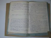Сторінка 29